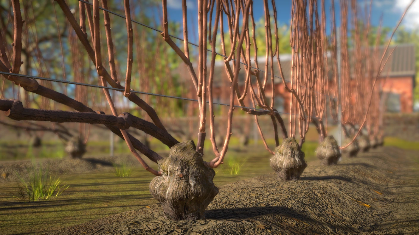 Simulateur viticulture VR - taille chablis