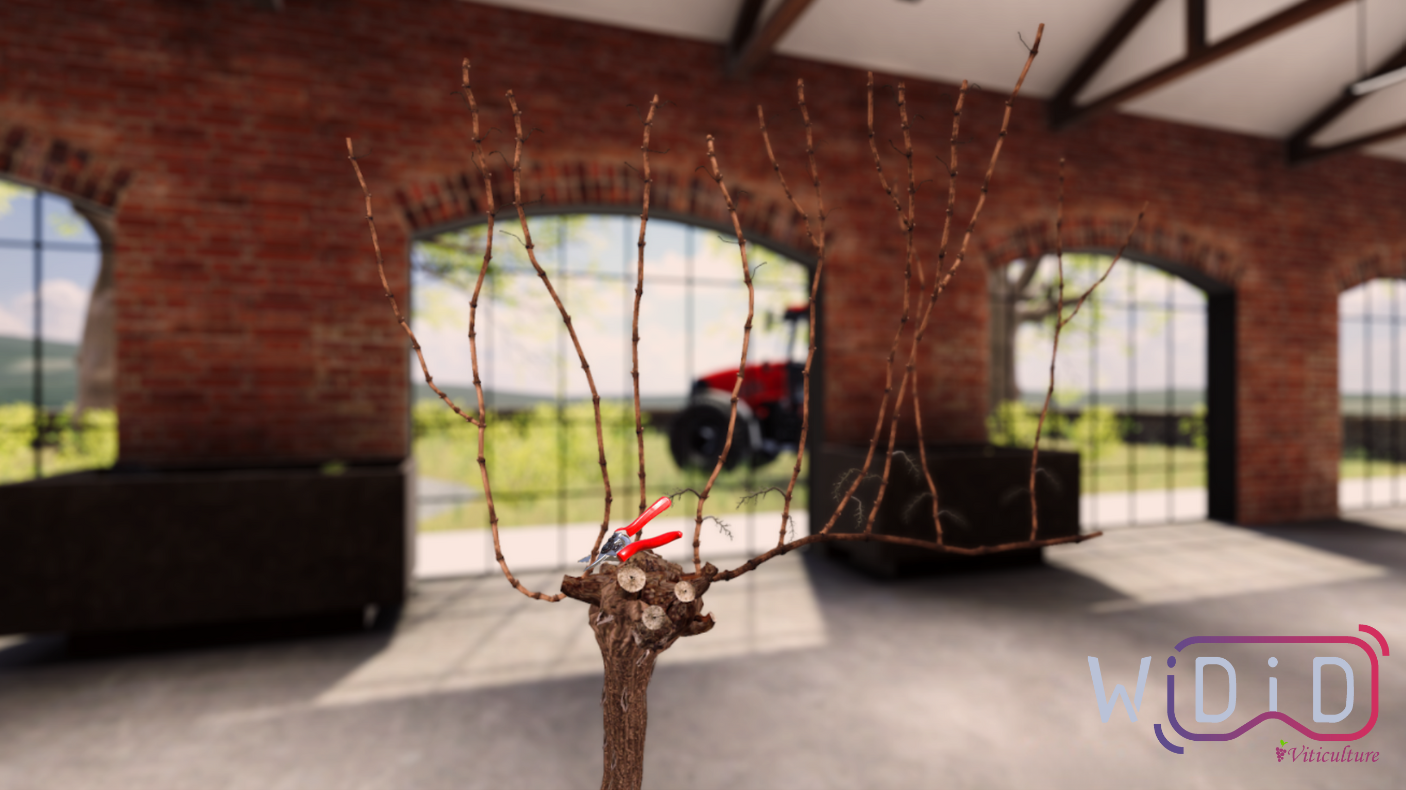 Atelier collectif de formation viticulture VR