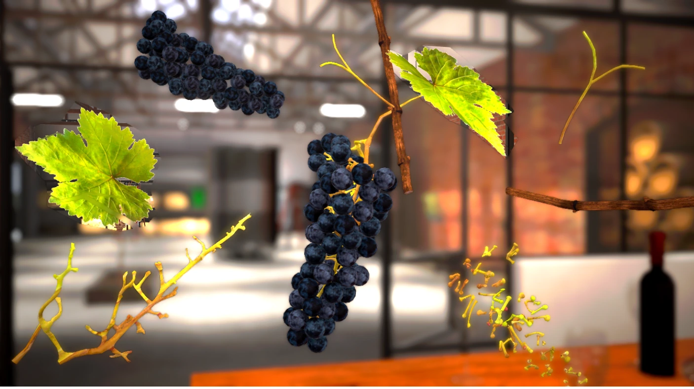 Simulateur de taille de la vigne VR