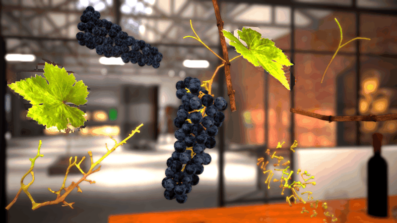 Formation VR - Identifier les organes végétatifs et fructifères