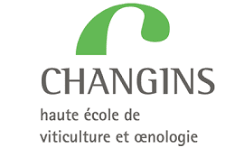Logo HES Changins