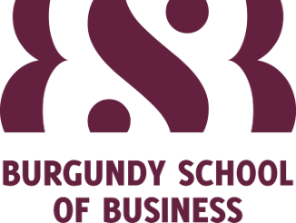 Logo BSB